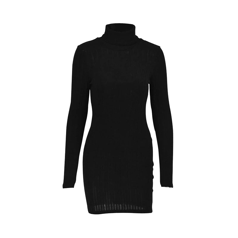 Bodycon Turtleneck