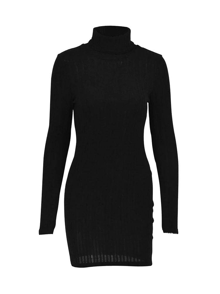 Bodycon Turtleneck