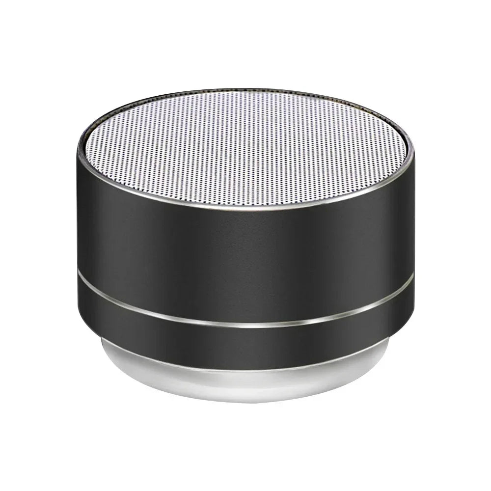 Portable Speaker