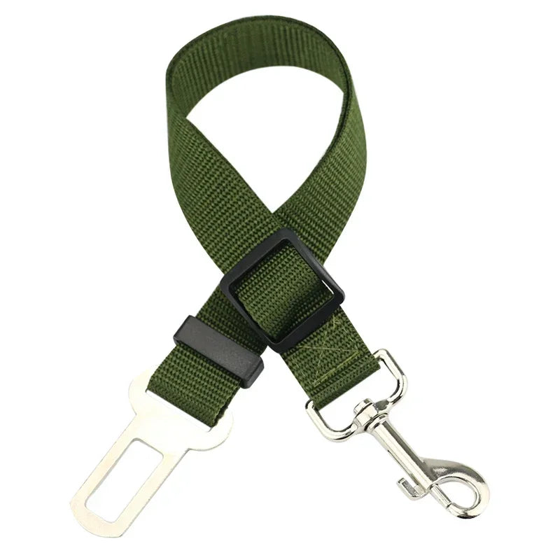 Pet Car Leash