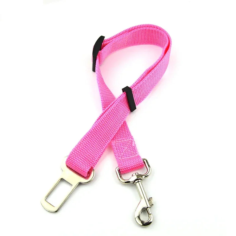 Pet Car Leash
