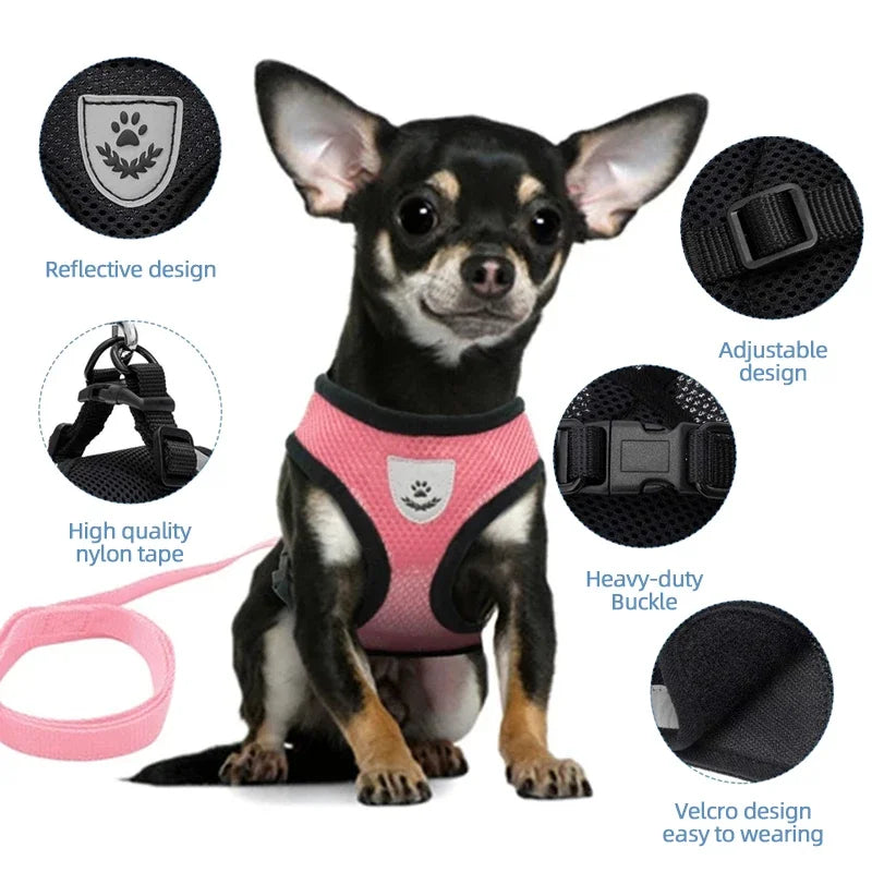 Body Harness Lead