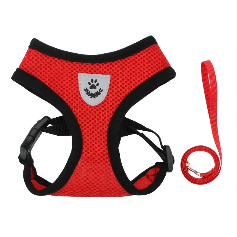 Body Harness Lead