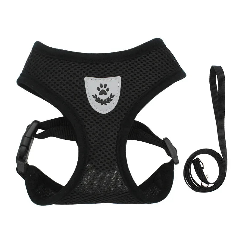 Body Harness Lead