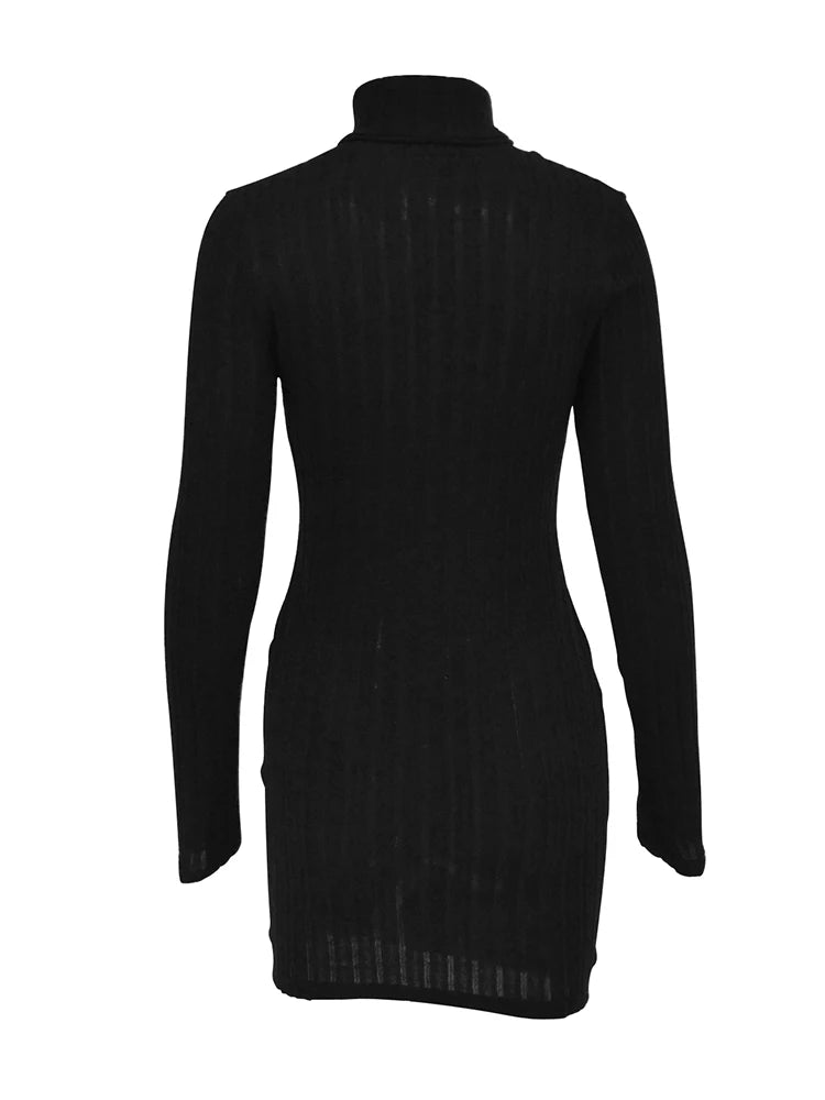 Bodycon Turtleneck