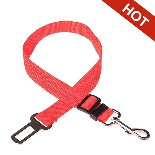 Pet Car Leash