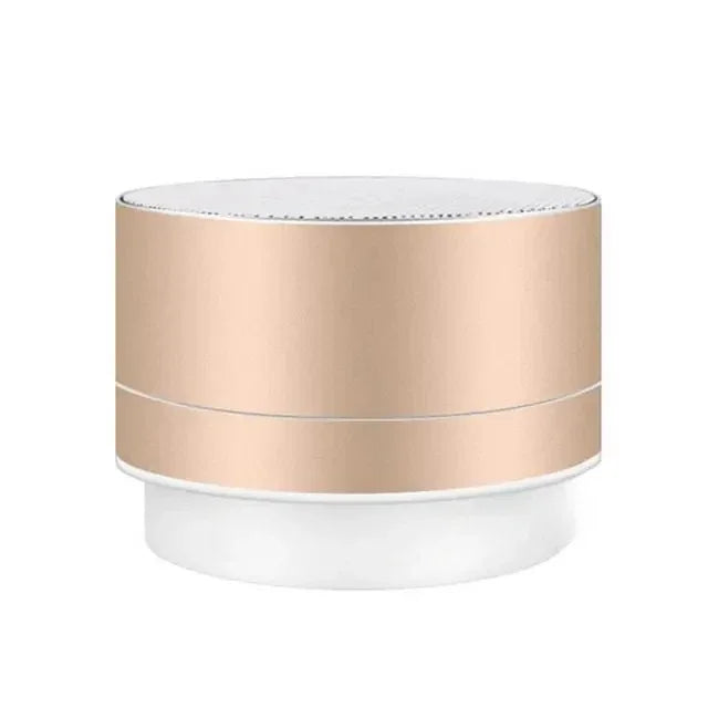 Portable Speaker