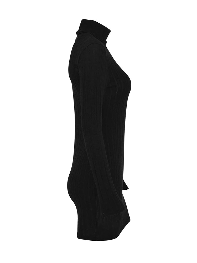 Bodycon Turtleneck
