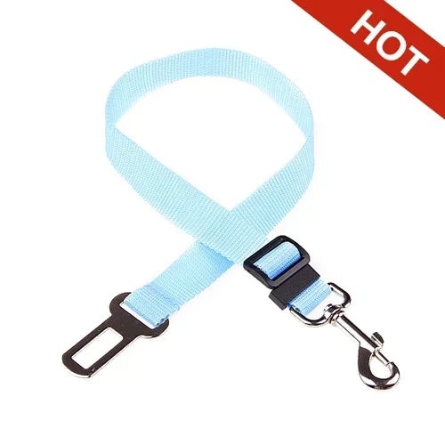 Pet Car Leash