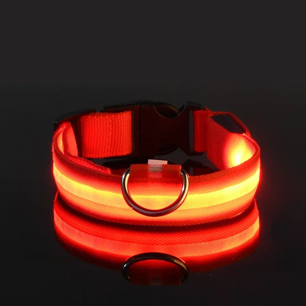 LED Light up Dog Leash