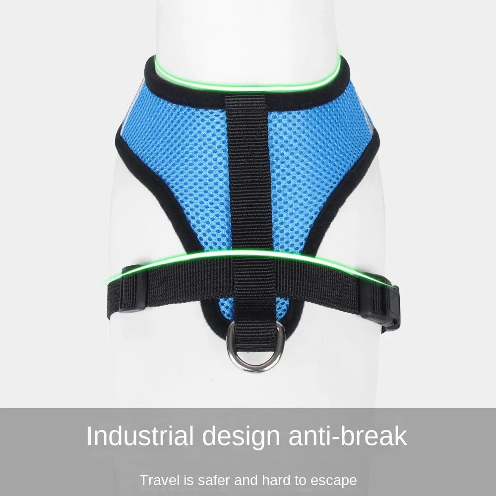 Body Harness Lead