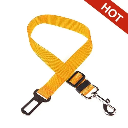 Pet Car Leash
