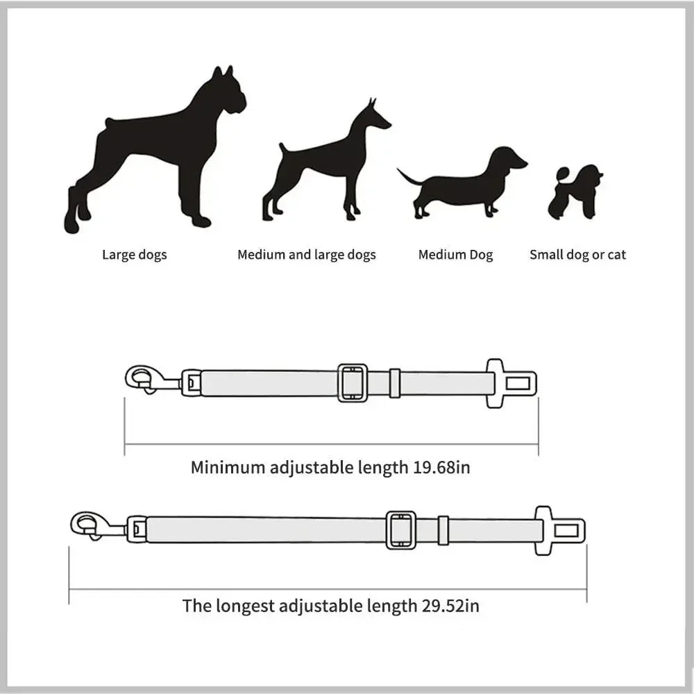Pet Car Leash