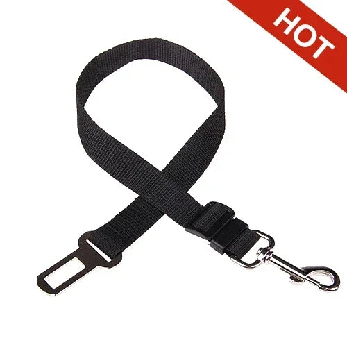 Pet Car Leash