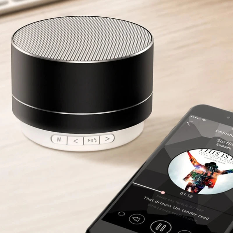 Portable Speaker