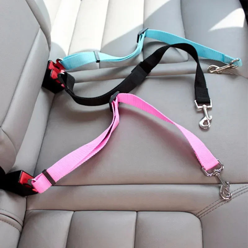 Pet Car Leash