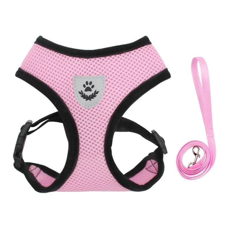 Body Harness Lead