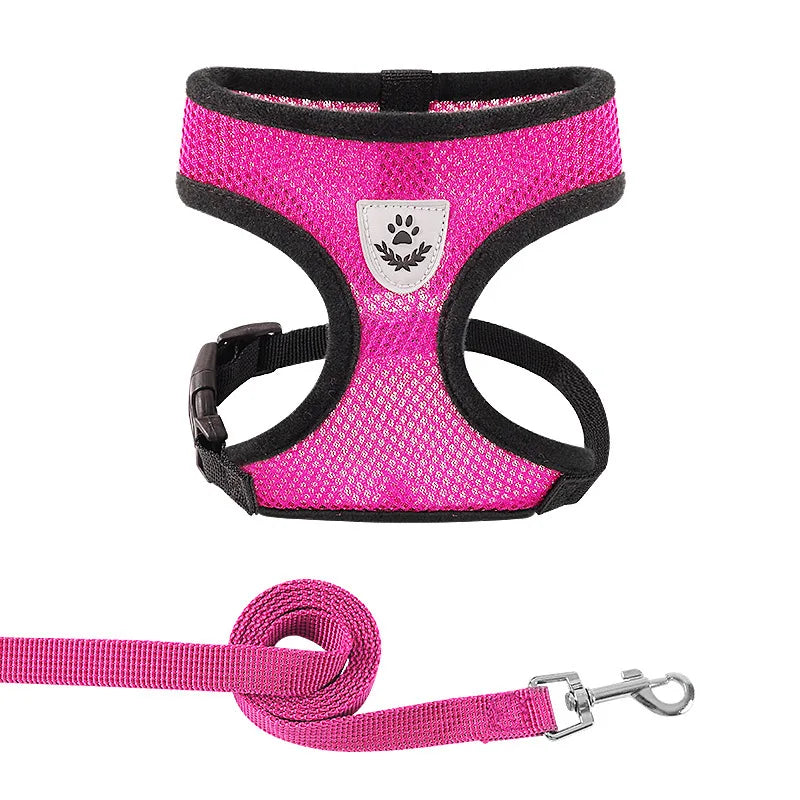 Body Harness Lead