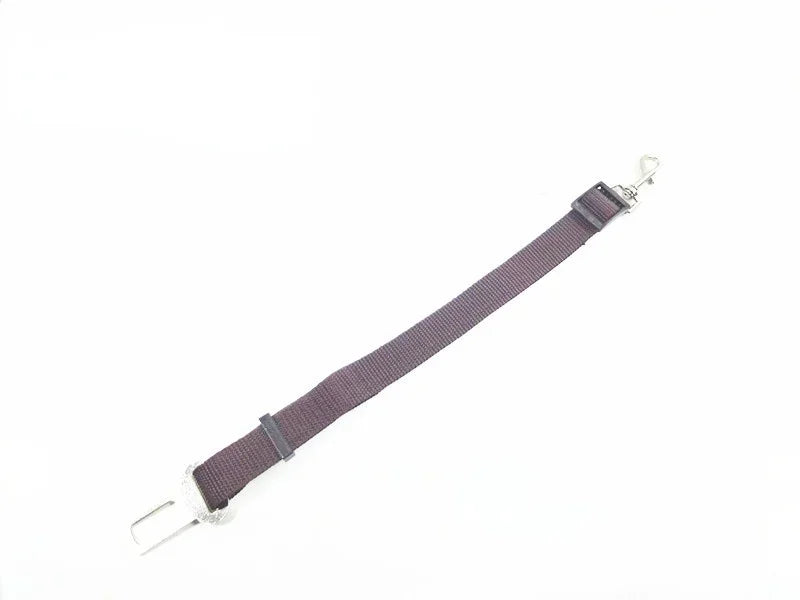 Pet Car Leash