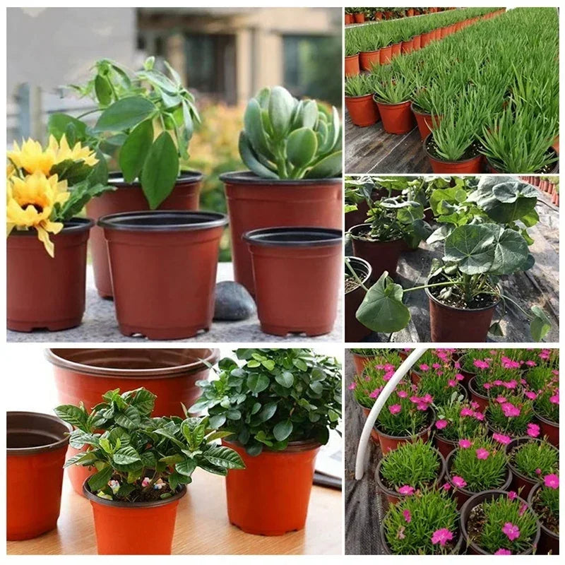 Flowerpot