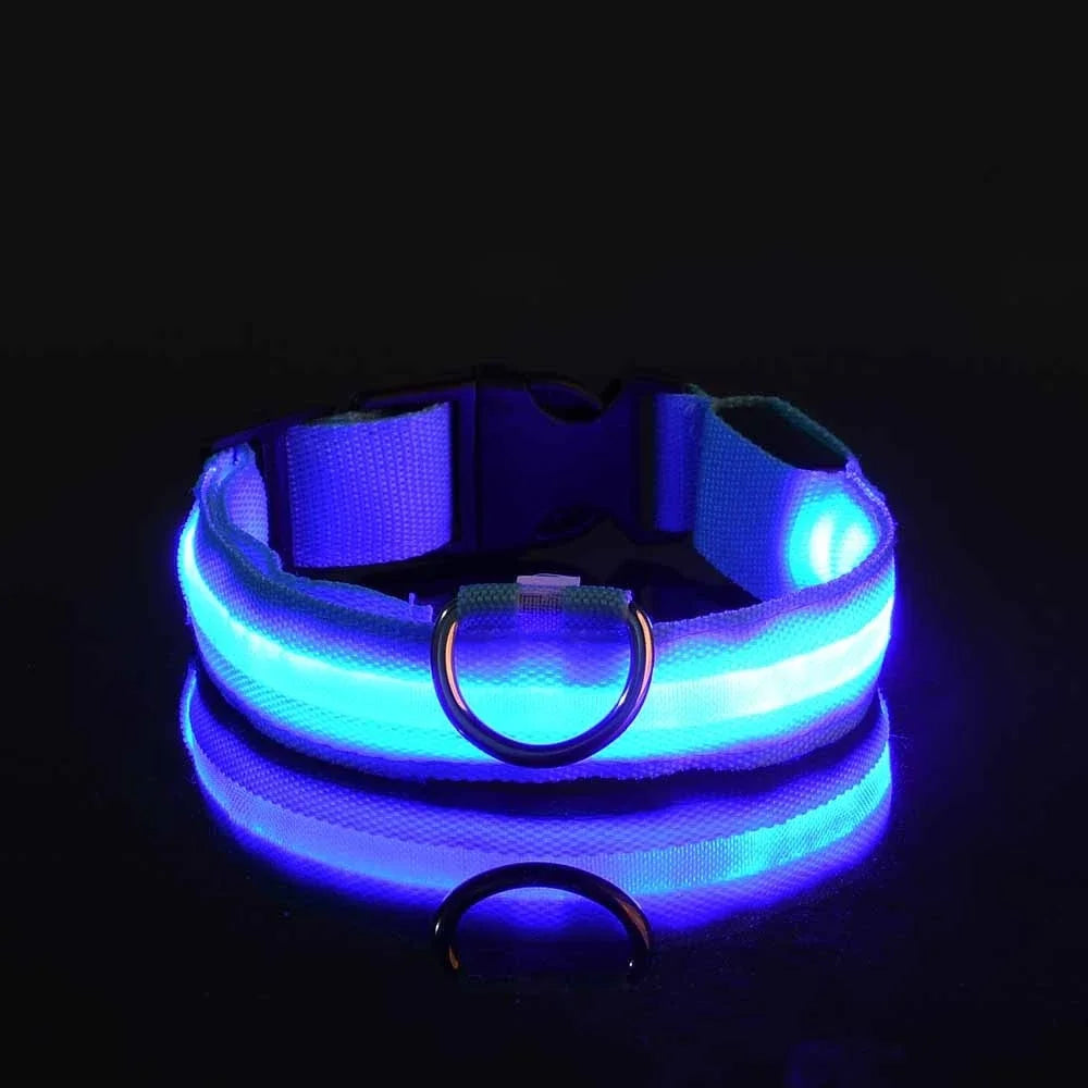 LED Light up Dog Leash