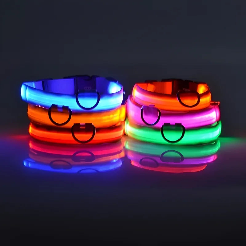 LED Light up Dog Leash