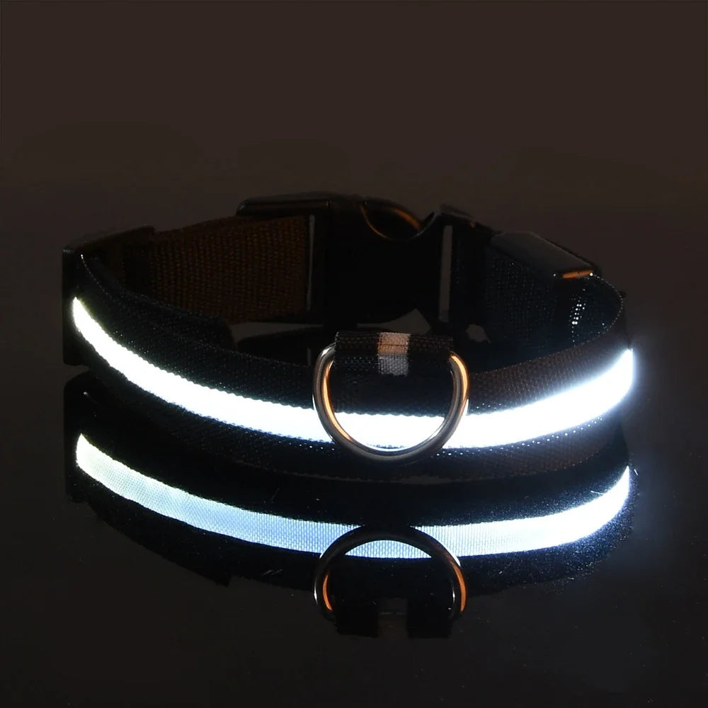 LED Light up Dog Leash