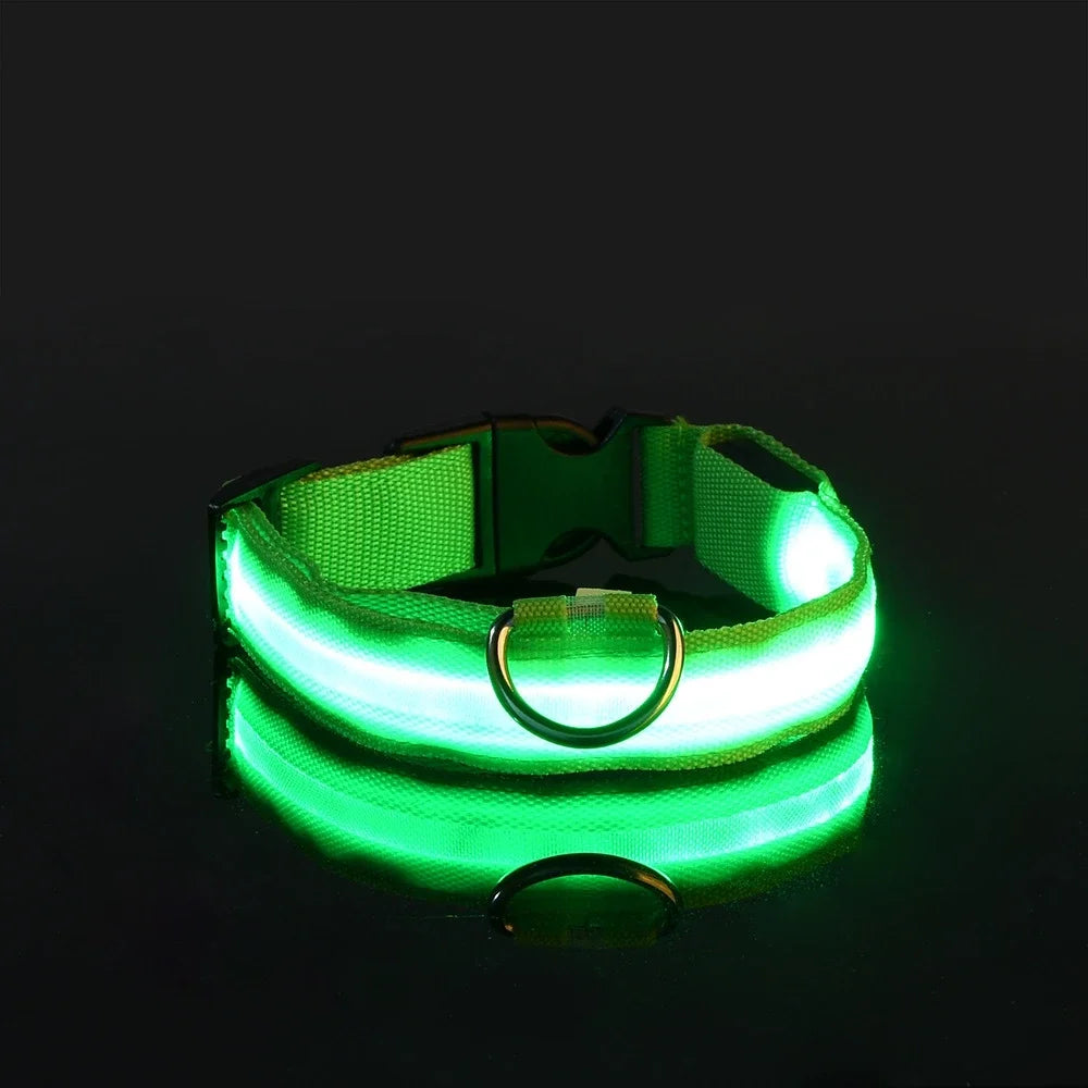 LED Light up Dog Leash