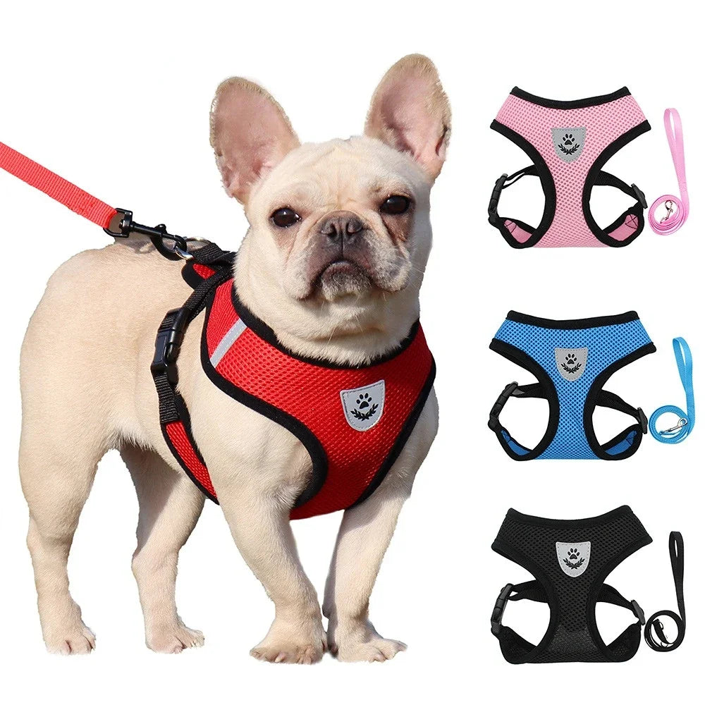 Body Harness Lead
