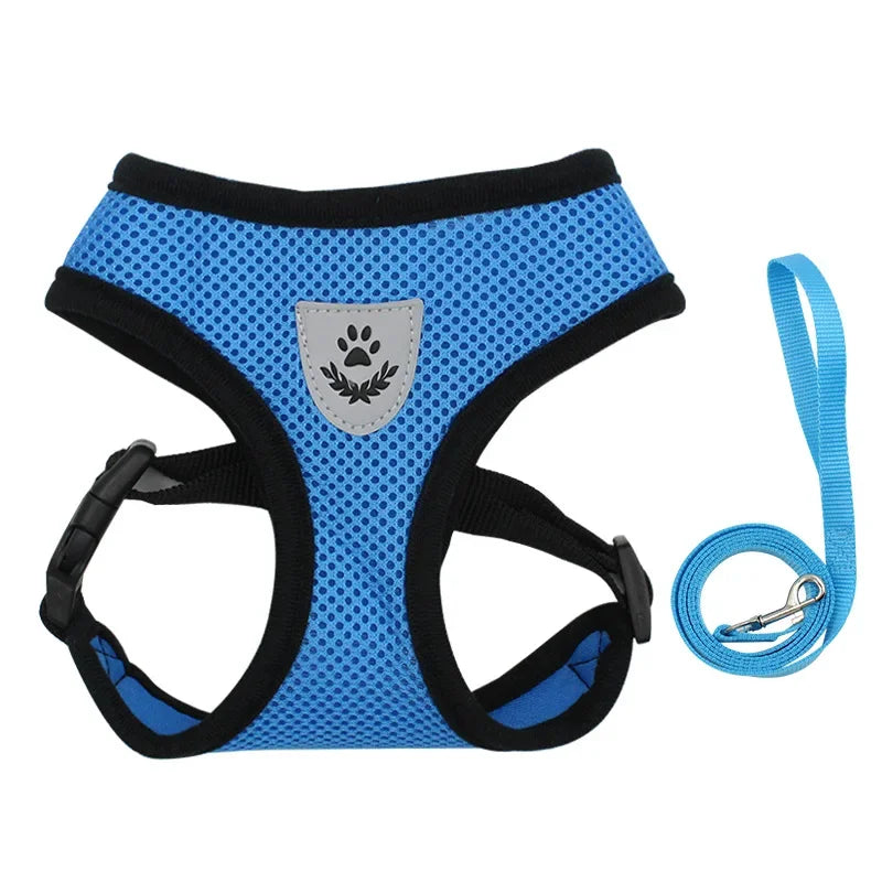 Body Harness Lead