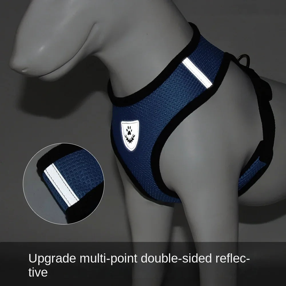 Body Harness Lead