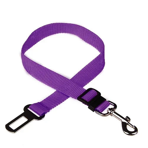 Pet Car Leash