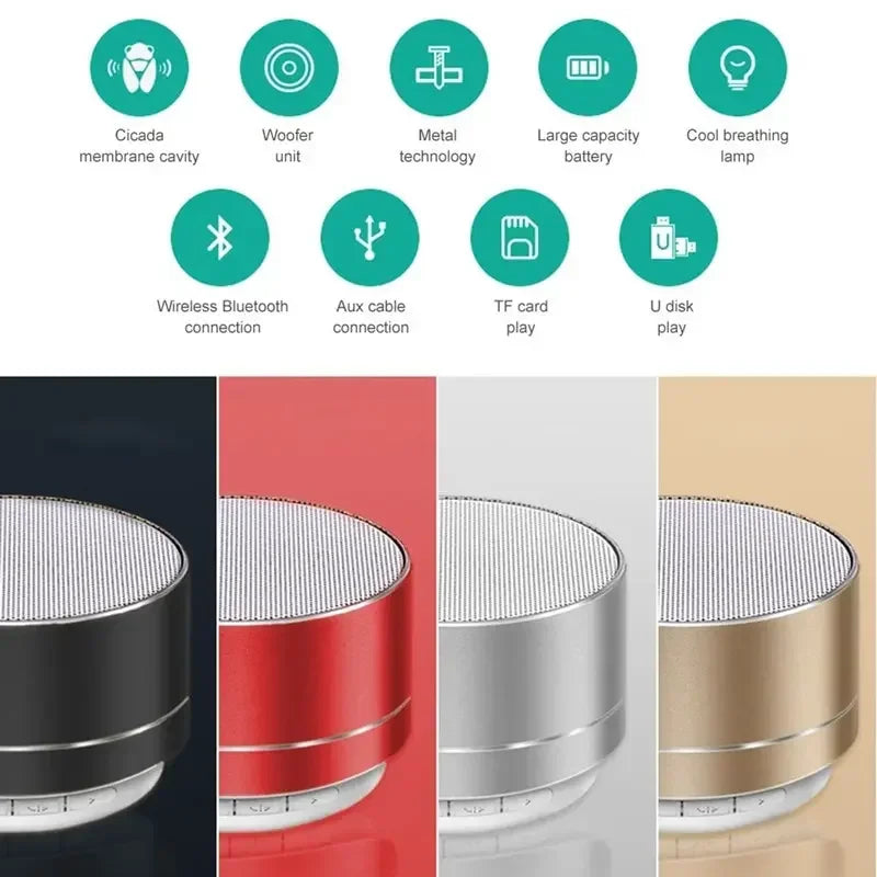 Portable Speaker
