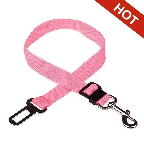 Pet Car Leash