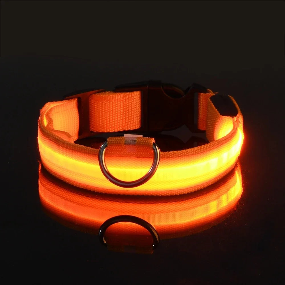LED Light up Dog Leash