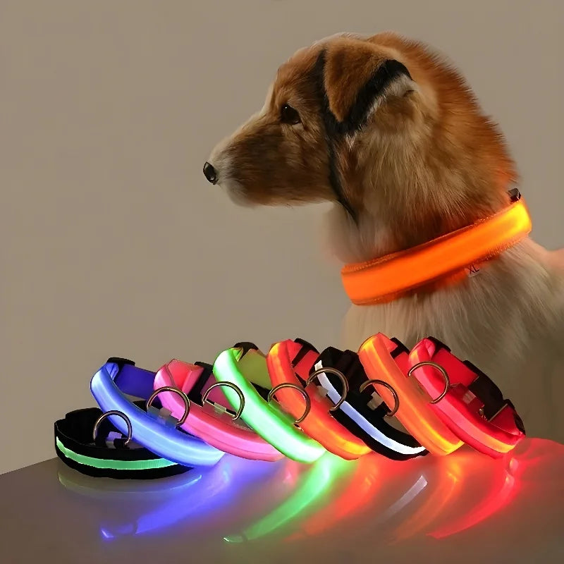 LED Light up Dog Leash