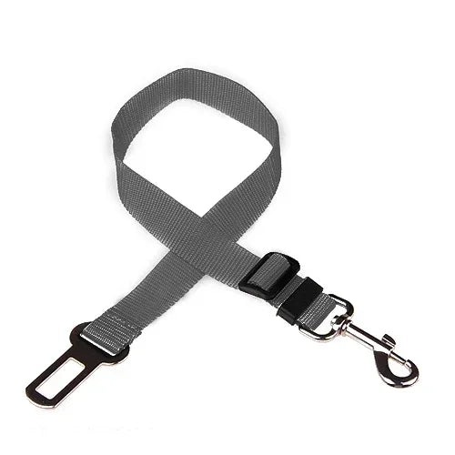 Pet Car Leash