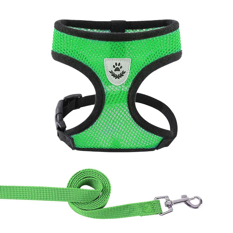 Body Harness Lead