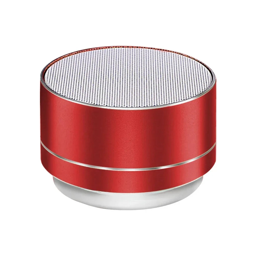 Portable Speaker