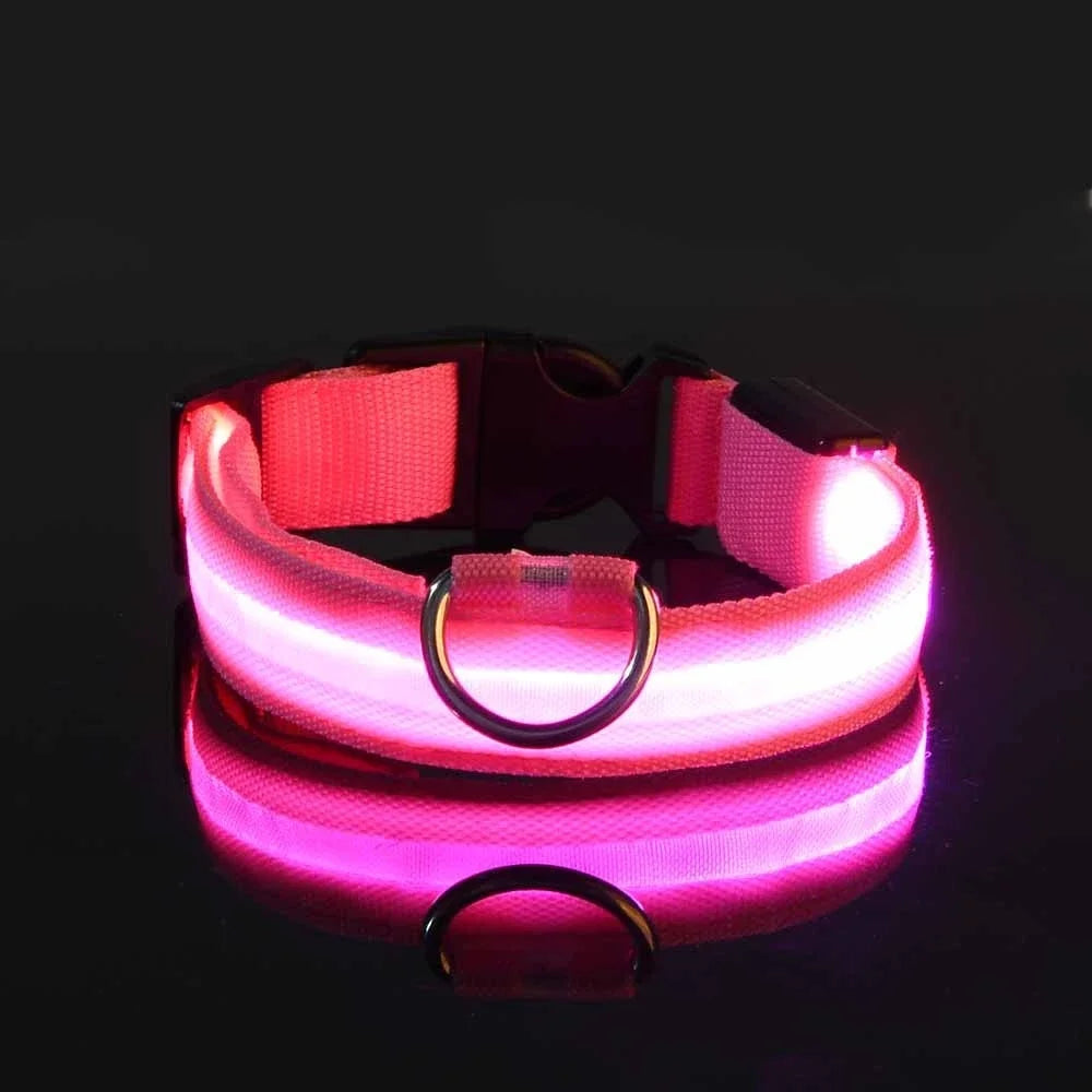 LED Light up Dog Leash