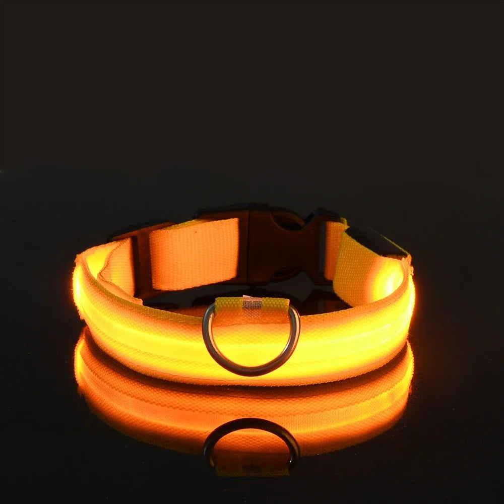 LED Light up Dog Leash