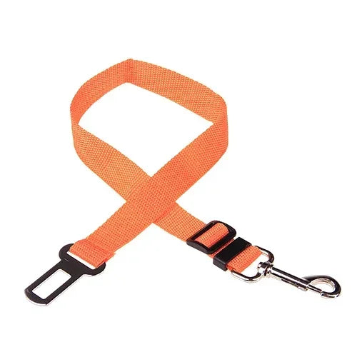 Pet Car Leash